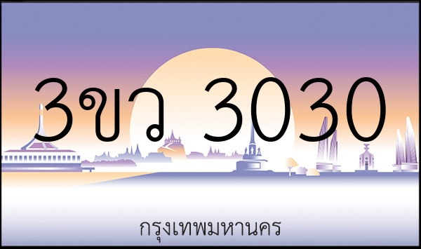3ขว 3030